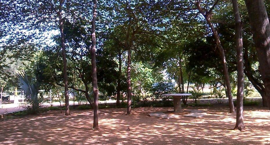 Neeraja's Farm Stay, Hyderabad 5